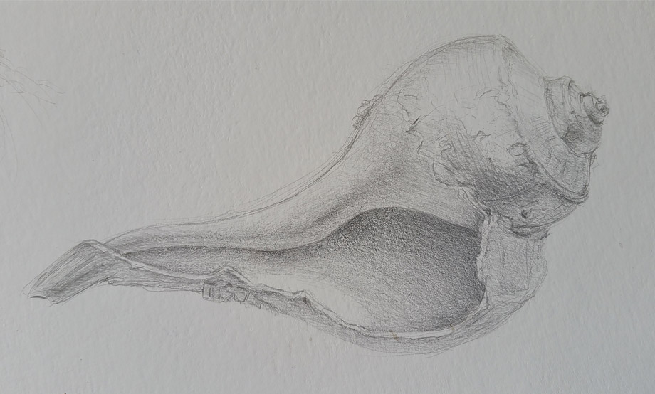 Drawing from Nature with Silverpoint
